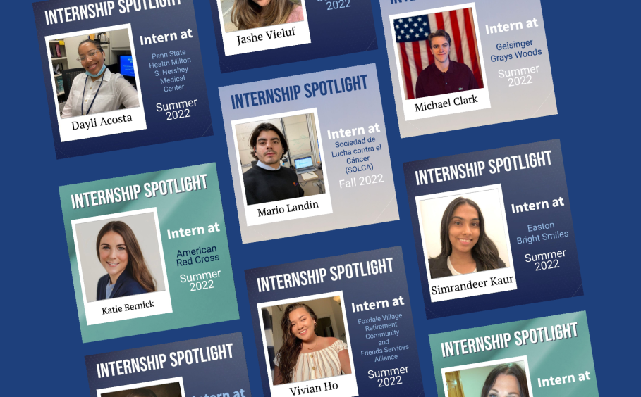 Image cards of previous internship spotlight post graphic examples.