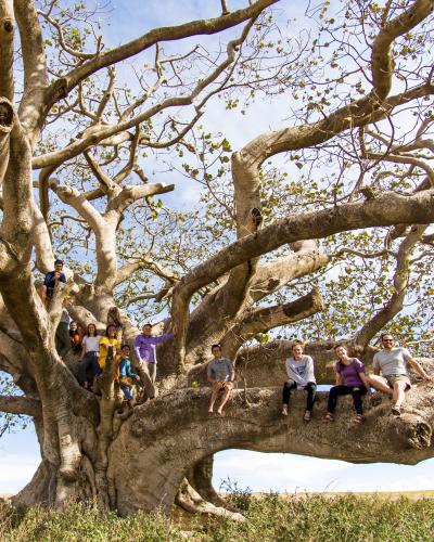 Students in a large tree in Tanzania