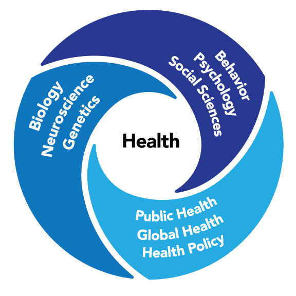 Health and the BBH themes
