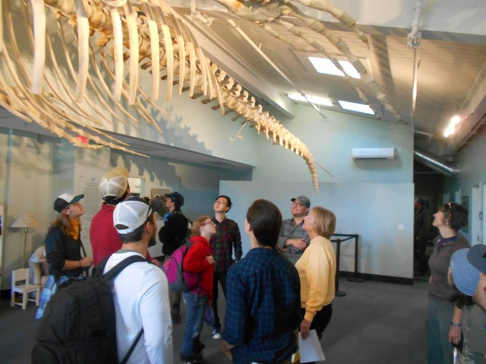 =Students looking at a whale spine during the Exploring Cape Cod class